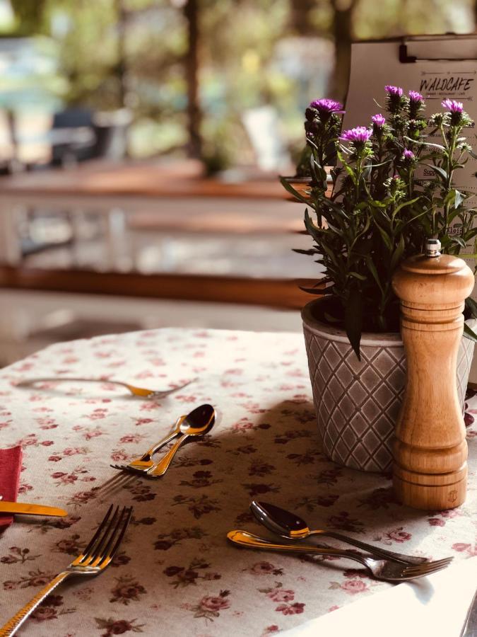Gasthof Restaurant Waldcafé Mayrhofen Esterno foto